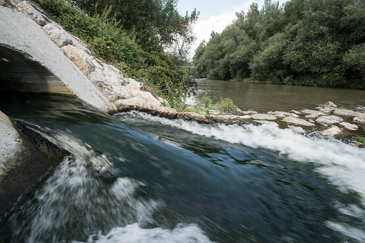 Svetovni dan voda 2026: Voda in spol 