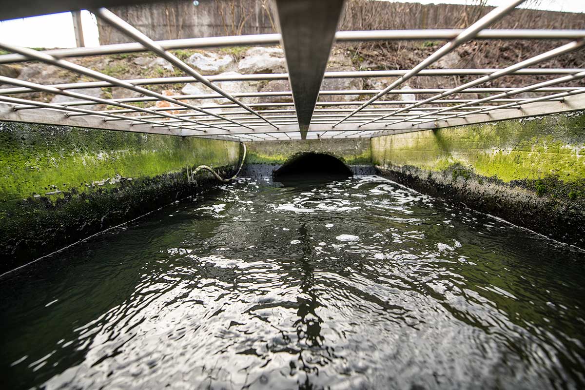 Zaključek Interreg projekta THETYS – analize kovin, PFAS in mikroonesnaževal v tedenskih vzorcih odpadne vode na porečju Donave